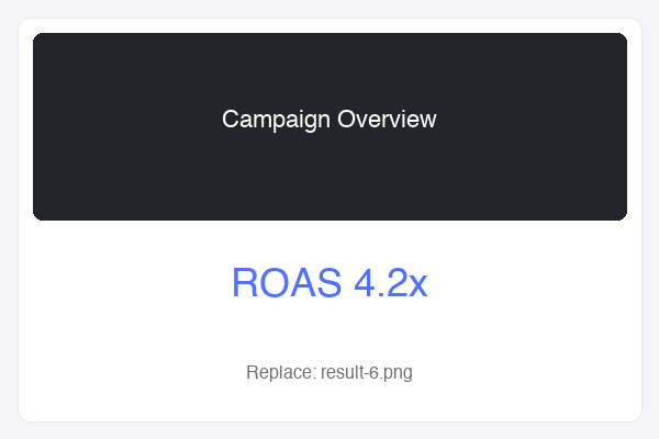 Meta Ads result screenshot 6
